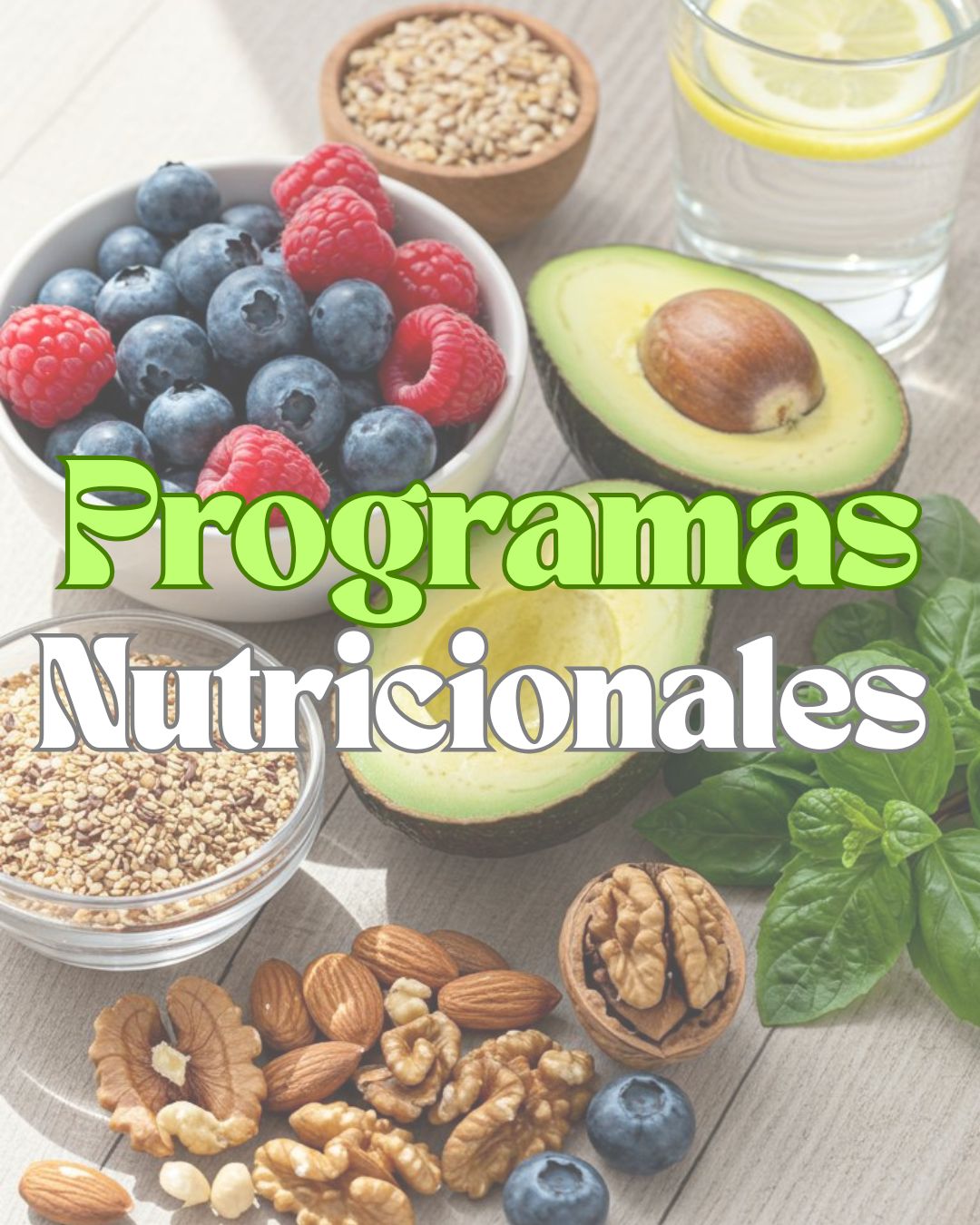 Programas nutricionales